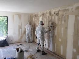 Biohazard Mold Removal in Harrisburg, AR